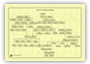 Family tree image
